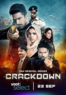All information about the new Crackdown Web Series